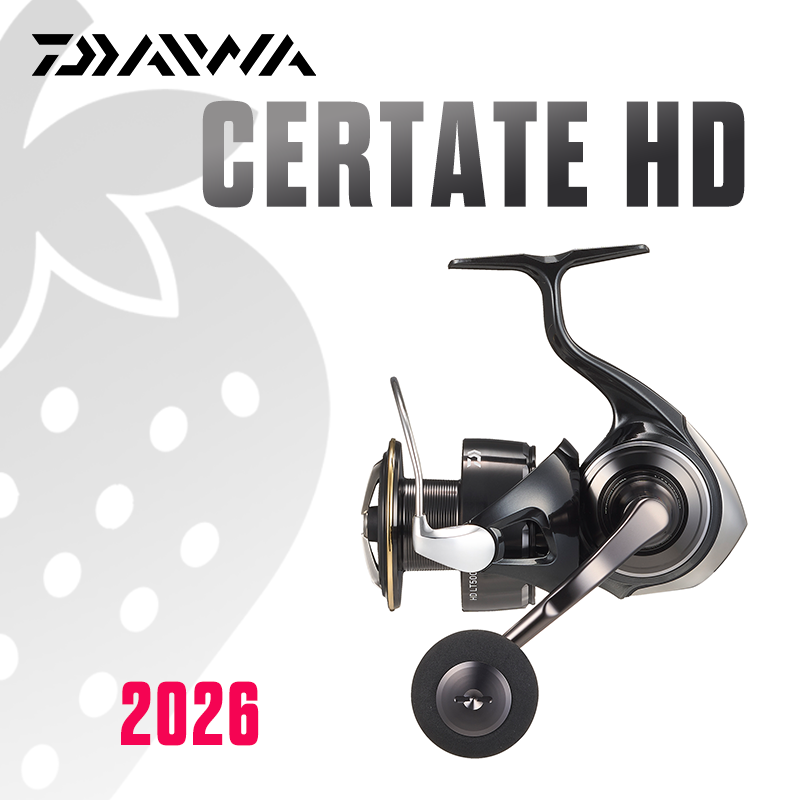 DAIWA 2026 Certate HD Angelrol – Shimano Reel Stradic Bewertung und Preis